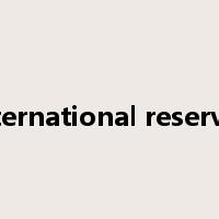 international reserves是什么意思
