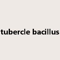 tubercle bacillus是什么意思