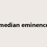 median eminence是什么意思