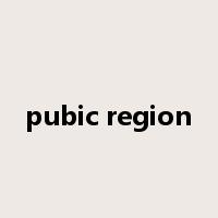 pubic region是什么意思