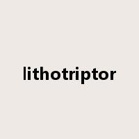 lithotriptor是什么意思