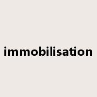 immobilisation是什么意思