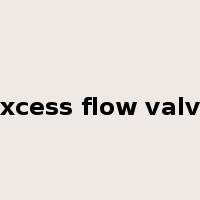 excess flow valve是什么意思