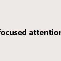 focused attention是什么意思