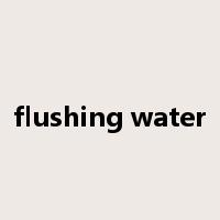 flushing water是什么意思