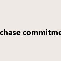 purchase commitments是什么意思