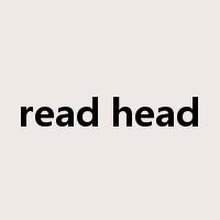 read head是什么意思