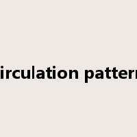 circulation pattern是什么意思