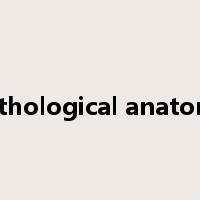pathological anatomy是什么意思