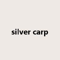 silver carp是什么意思