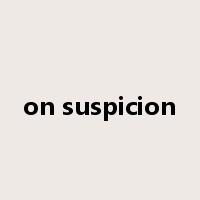 on suspicion是什么意思