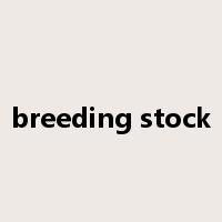breeding stock是什么意思
