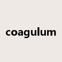 coagulum是什么意思