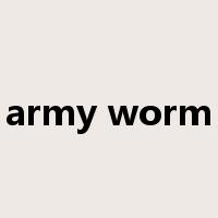 army worm是什么意思