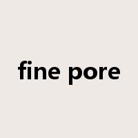 fine pore是什么意思