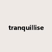 tranquillise是什么意思