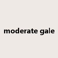 moderate gale是什么意思
