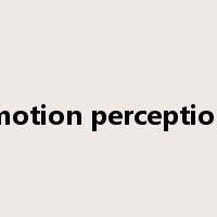 motion perception是什么意思