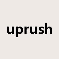 uprush是什么意思