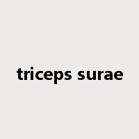 triceps surae是什么意思