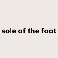 sole of the foot是什么意思