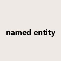 named entity是什么意思