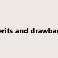 merits and drawbacks是什么意思