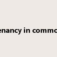 tenancy in common是什么意思