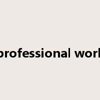 professional work是什么意思