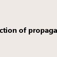 direction of propagation是什么意思