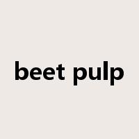 beet pulp是什么意思