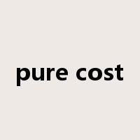 pure cost是什么意思