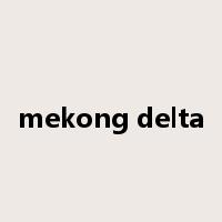 mekong delta是什么意思