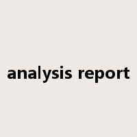 analysis report是什么意思