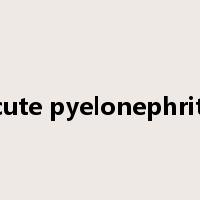 acute pyelonephritis是什么意思