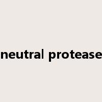 neutral protease是什么意思
