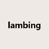 lambing是什么意思