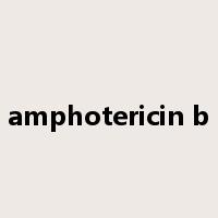 amphotericin b是什么意思