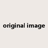 original image是什么意思