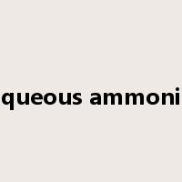 aqueous ammonia是什么意思