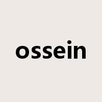 ossein是什么意思