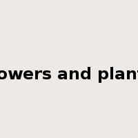 flowers and plants是什么意思