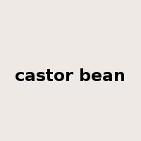 castor bean是什么意思