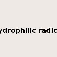 hydrophilic radical是什么意思