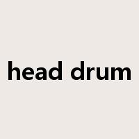 head drum是什么意思