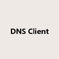 DNS Client是什么意思
