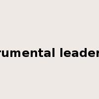 instrumental leadership是什么意思