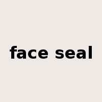 face seal是什么意思