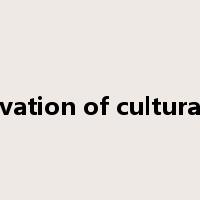 preservation of cultural relics是什么意思