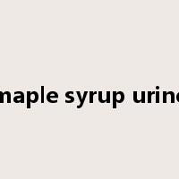 maple syrup urine是什么意思